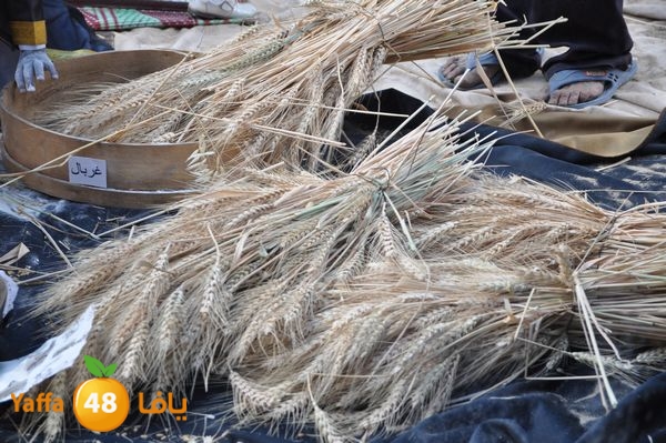 kidrawdaanimals510 (43).JPG